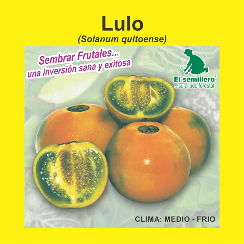 Lulo | Venta de Semillas frutales El Semillero SAS